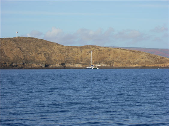 Maui Sport Fishing Molokini