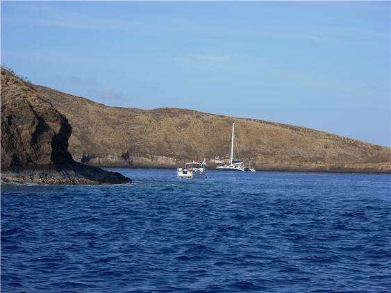 Molokini Snorkel Tour