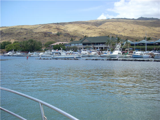Maui Sport Fishing Harbor