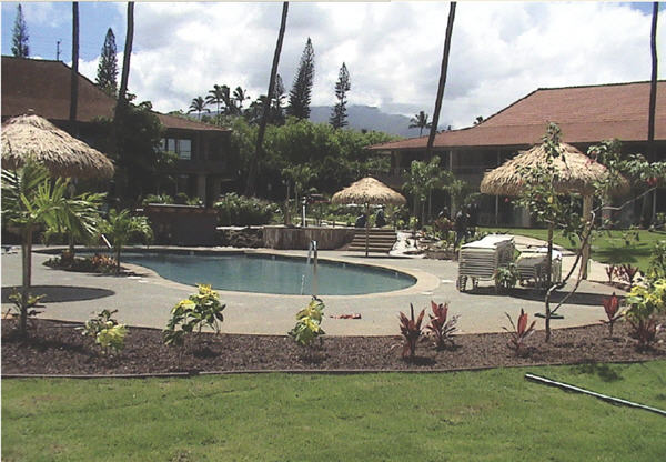 Maui Kaanapali Villas Coconut Pool