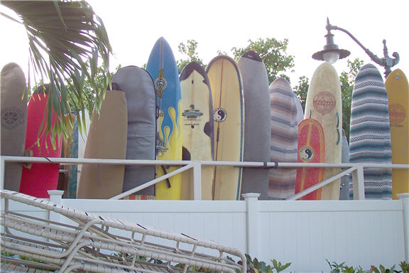 Waikiki Surfboards