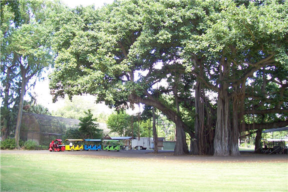 Waikiki Zoo Train