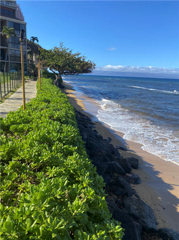 Kaanapali Beach